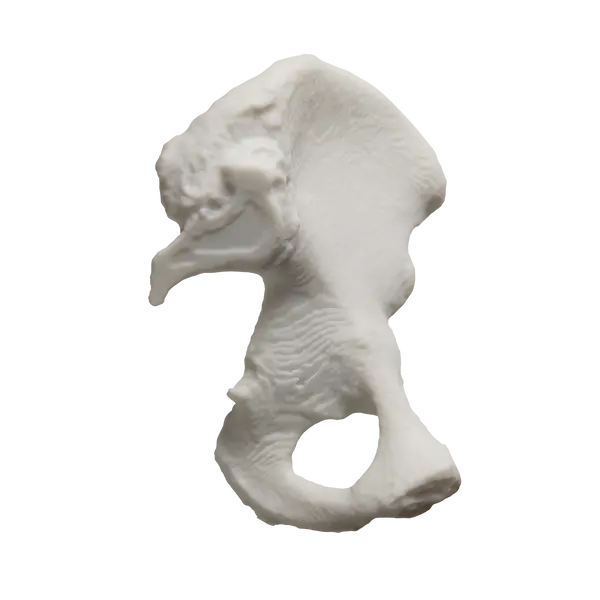 Formlabs General Purpose Resins V5 Series