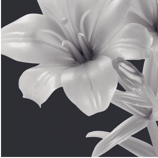 formlabs, Standard Resin, 3D printing, resin, SLA, DLP, 3D列印, 光敏樹脂,SURFACE FINISH, 表面光潔度