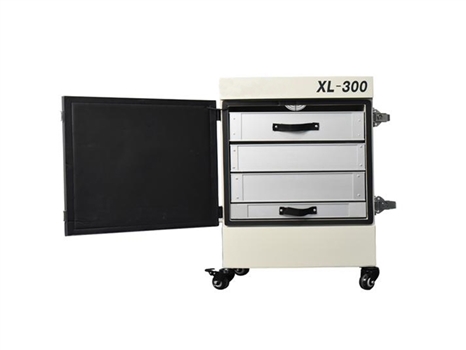 XL-300 Air Filter Open