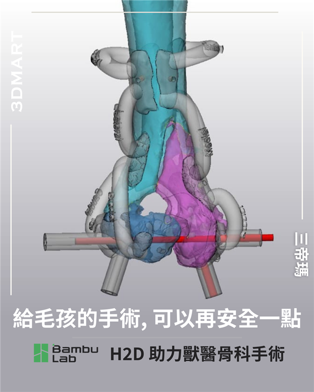 【3D列印】給毛孩的手術，可以再安全一點：Bambu Lab H2D 助力獸醫骨科手術