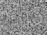 CIRCLE Titanium Metal Powder 10KG