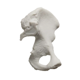 Formlabs General Purpose Resins V5 Series