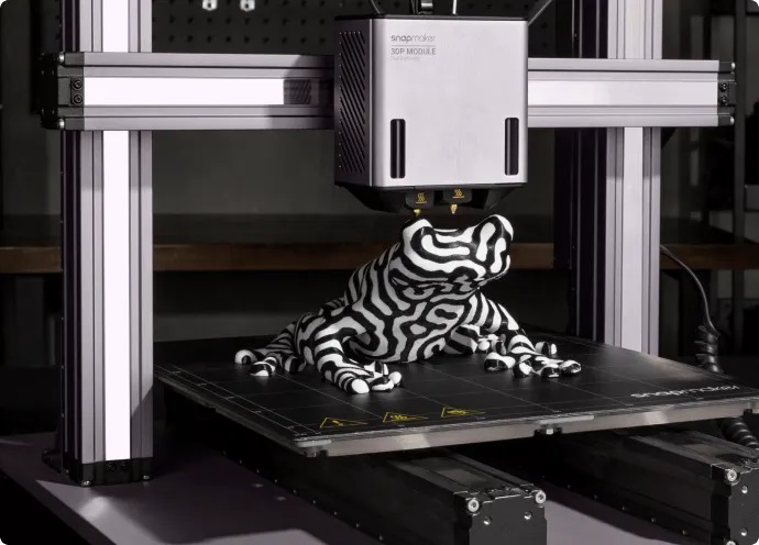 Snapmaker 2.0 Dual Extrusion 3D Printing Module of multicolor printing
