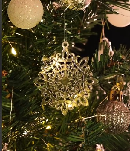 3D Print Christmas Deco