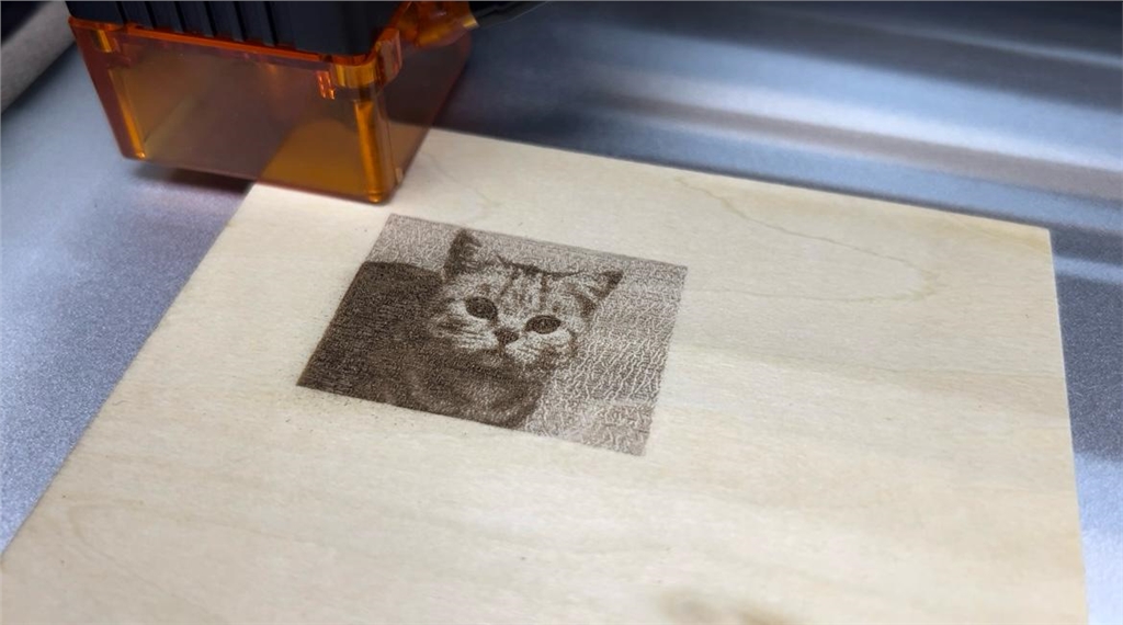 Lazervida 10W 二極體雷射雕刻機 - 雕刻成品