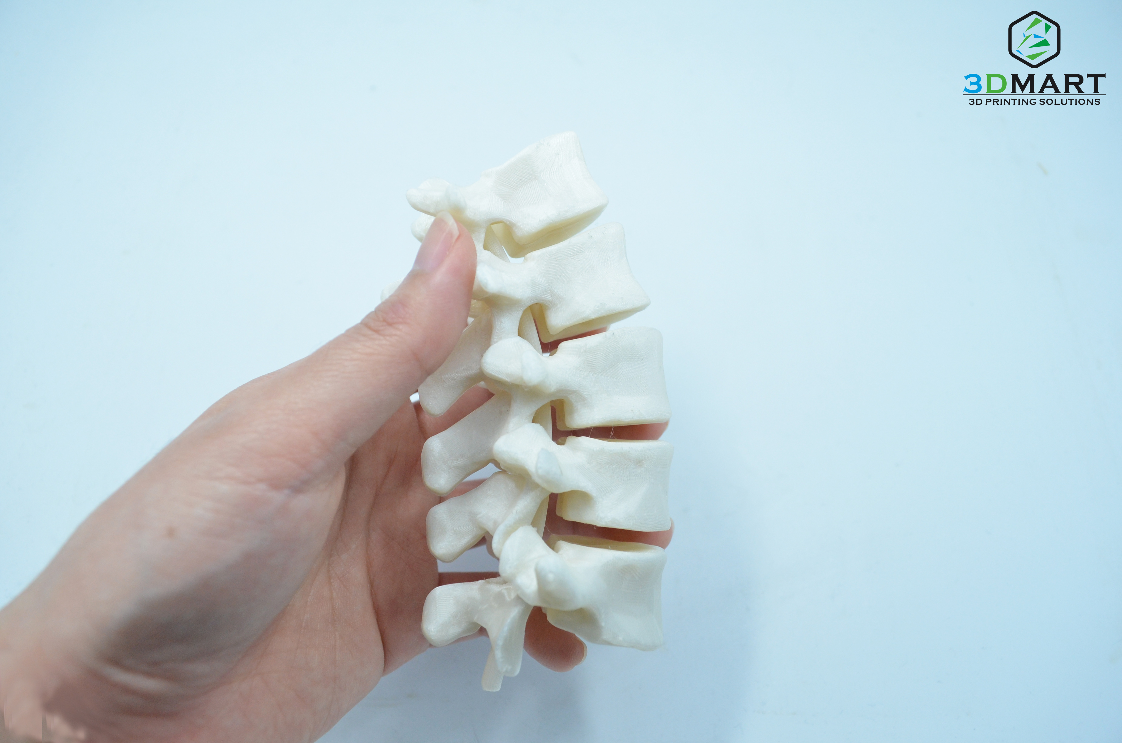 3D printing human spine