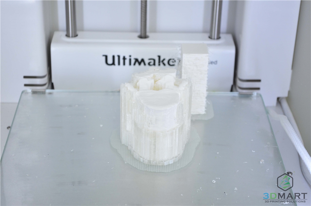 3DMART Ultimaker3 雙噴頭 3D列印機 水溶性支撐  骨頭模型